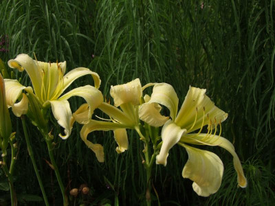 2020_0429EndeJuliHems10050.JPG