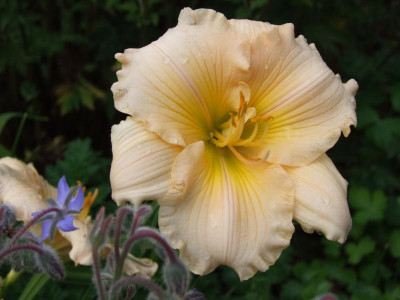 2020_0429EndeJuliHems10026.JPG