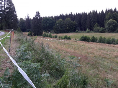 20200728_165620.jpg