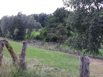 20200728_153655.jpg