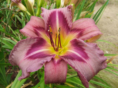 2020_0430EndeJuliHems20019.JPG