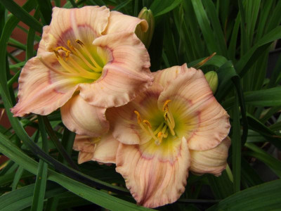 2020_0430EndeJuliHems20041.JPG