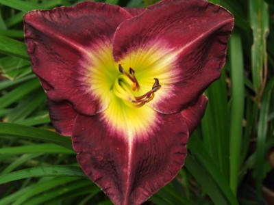 2020_0430EndeJuliHems20034.JPG