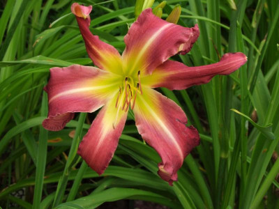 2020_0430EndeJuliHems20022.JPG