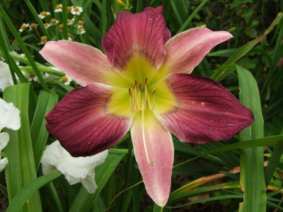 2020_0430EndeJuliHems20017.JPG