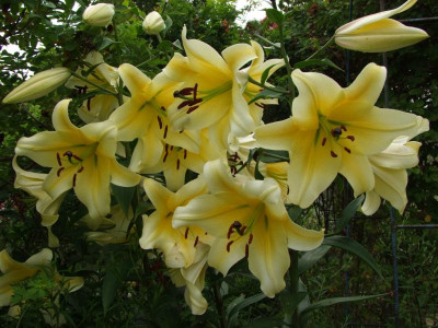 2020_0430EndeJuliHems20029.JPG