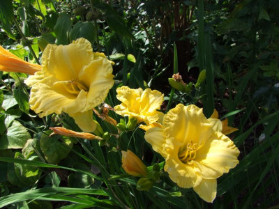 2020_0501JulitagLetzer0037.JPG