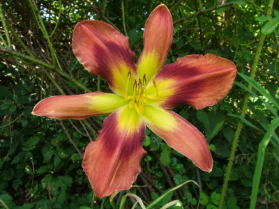2020_0501JulitagLetzer0101.JPG