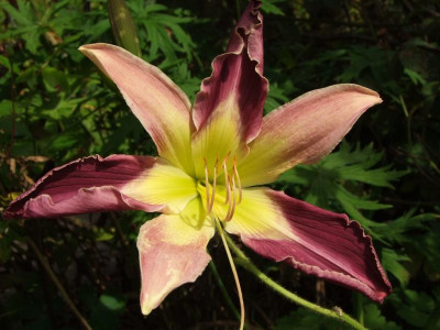 2020_0501JulitagLetzer0010.JPG