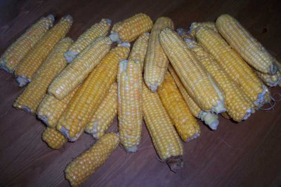 K640_100_4333.JPG
