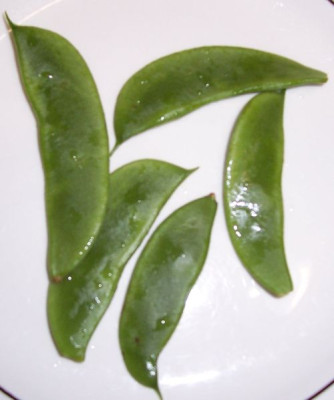 000_2221_Seltsame_Bohnen.jpg