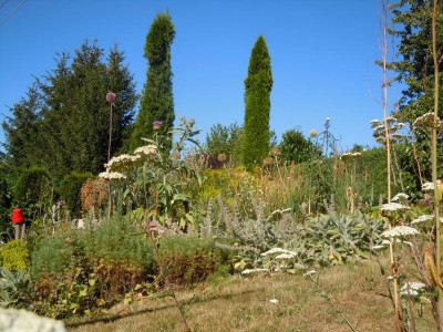 DSCN9952.JPG