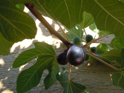 DSCN9936.JPG