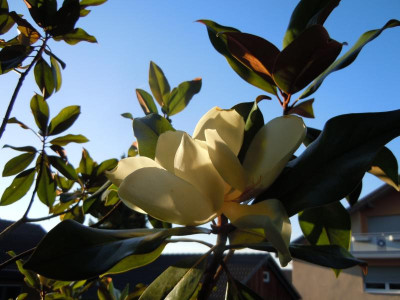 DSCN9941.JPG