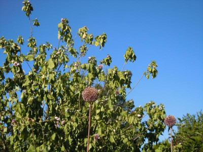 DSCN9959.JPG