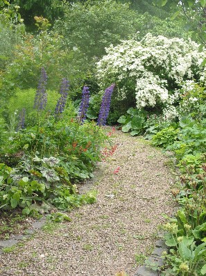 IMG_0120_297X397.jpg