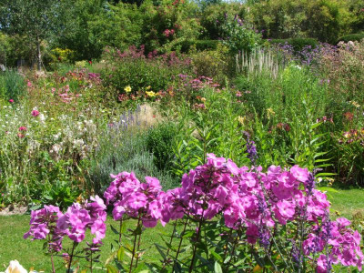 Ansicht Garten.JPG