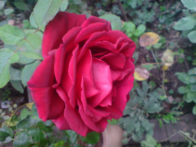erotika_sept_07_1.JPG