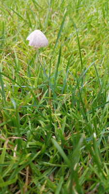 20200803_174915.jpg