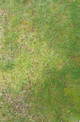 20200803_175453.jpg
