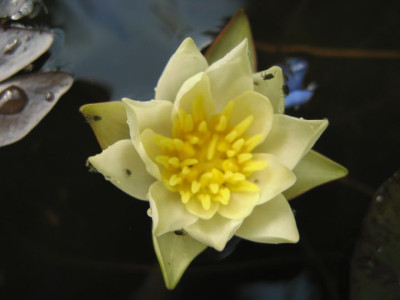 div07_004.jpg