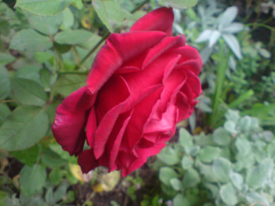 erotika_sept_07_3.JPG