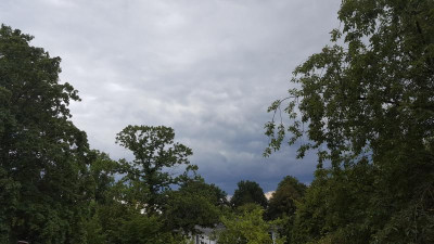 20200804_142437.jpg