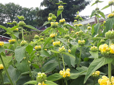 20180602_172311.jpg