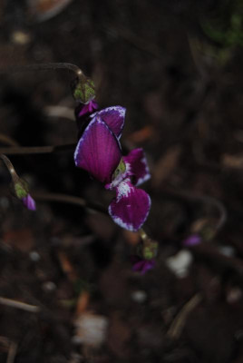 DSC_0777.JPG