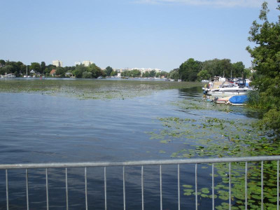 IMG_0804.JPG