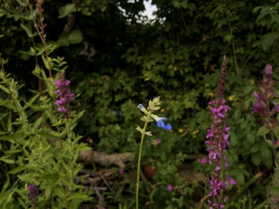 9277C4BC-43E2-4771-A67A-48D528263610.jpeg