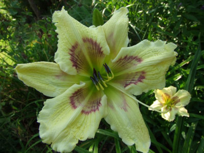 2020_0509AugustHochsommer0012.JPG