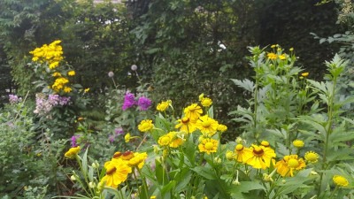 20200809_102906.jpg