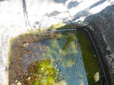 DSCN0194.JPG