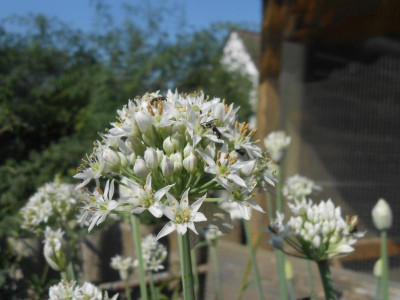 DSCN0190.JPG