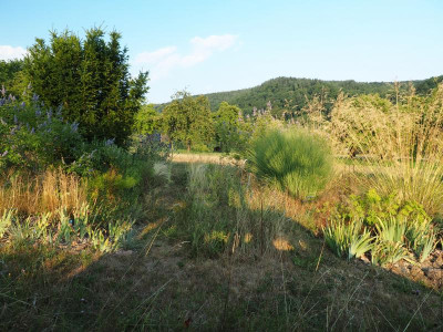 schnelle Übersicht im August P8090085.JPG