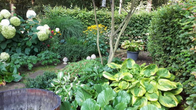 20200810_085613.jpg