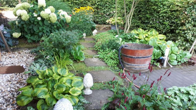 20200810_085848.jpg