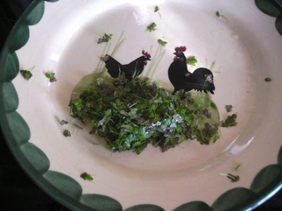 Vegetarisches.jpg