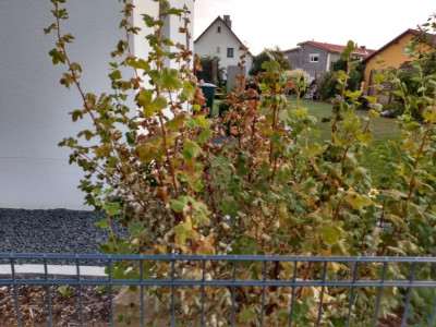 IMG_20200810_182024965_HDR.jpg