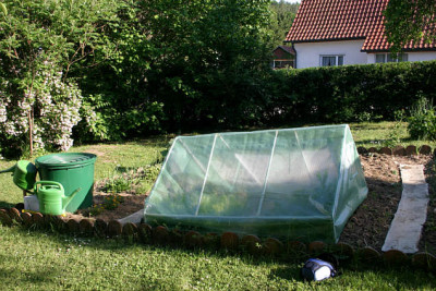 Tomaten000607.jpg
