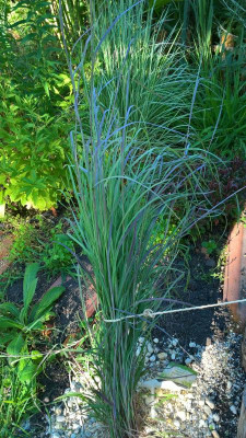 WP_20200720_18_30_15_Pro.jpg