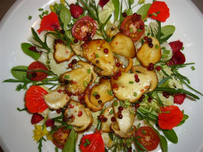 frische_Steinpilze_auf_Blattsalat.JPG