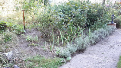 20200812_095806.jpg