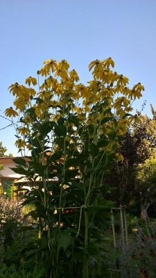 WP_20200812_18_04_57_Pro.jpg