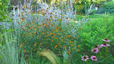 WP_20200812_18_05_02_Pro.jpg
