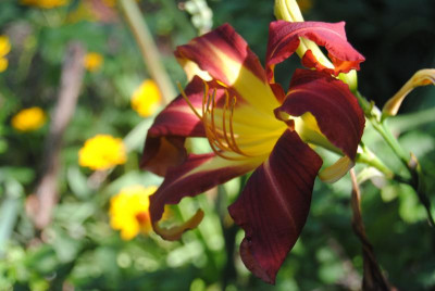 DSC_0724.JPG