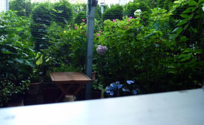 P1100349.JPG