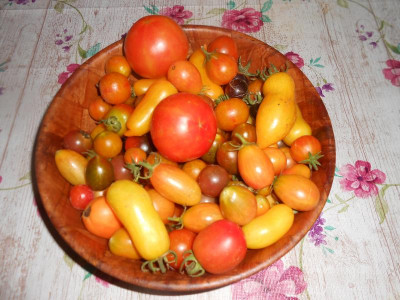 DSCN0240.JPG