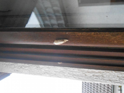 DSCN0271.JPG